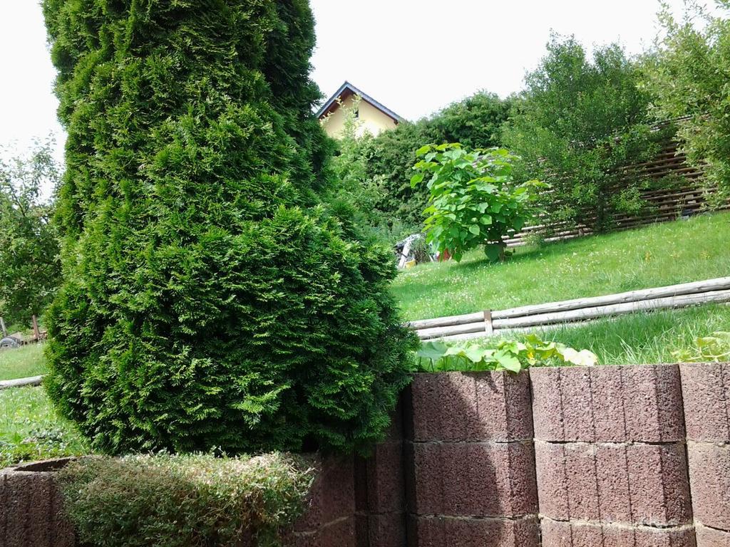 Ferienhaus Waldblick Sangerhausen Bagian luar foto