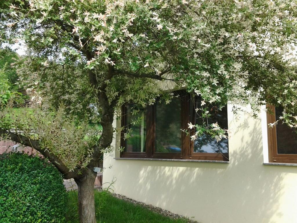Ferienhaus Waldblick Sangerhausen Bagian luar foto